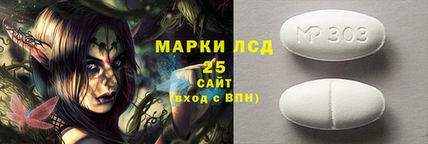 индика Абинск