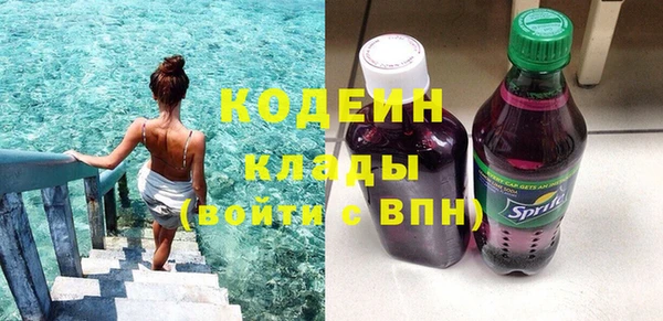 индика Абинск