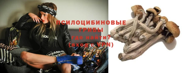 кокс Абдулино