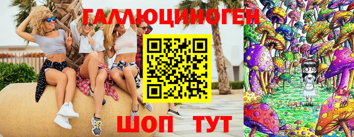 Галлюциногенные грибы Psilocybe Нягань